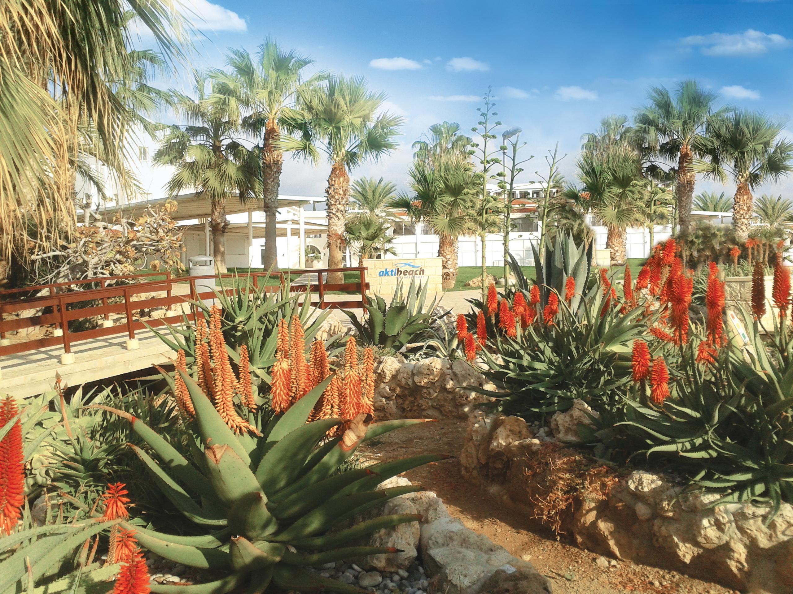 Akti Beach Hotel & Village Resort Klorakas Exterior foto